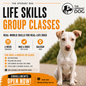 Life Skills Group Program - Enrollment