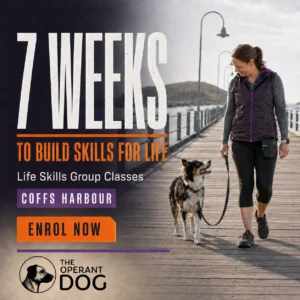 Life Skills Group Program – Enrolment