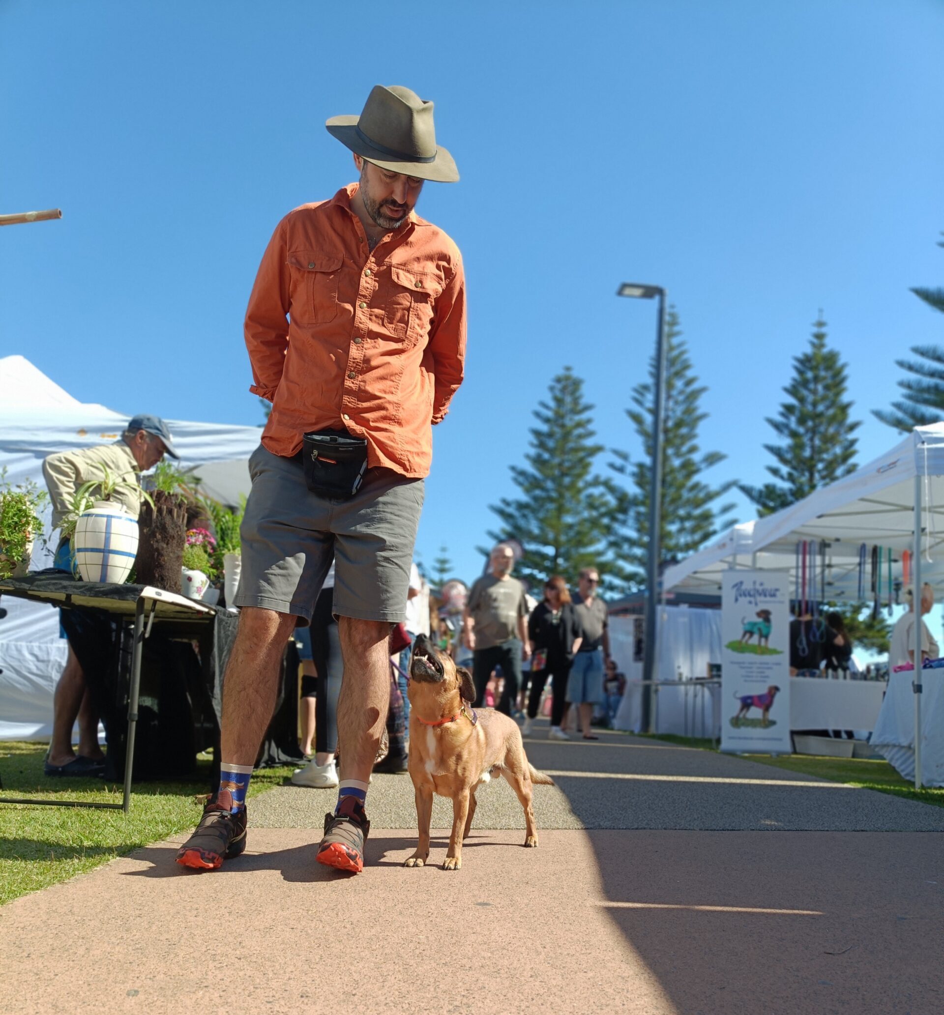 You are currently viewing The Ultimate Dog-Friendly Coffs Coast Guide