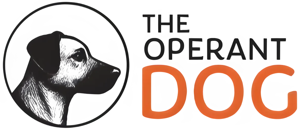 Logo with a grayscale globe icon inside a circle on the left and bold orange 'DOGE' lettering to the right.