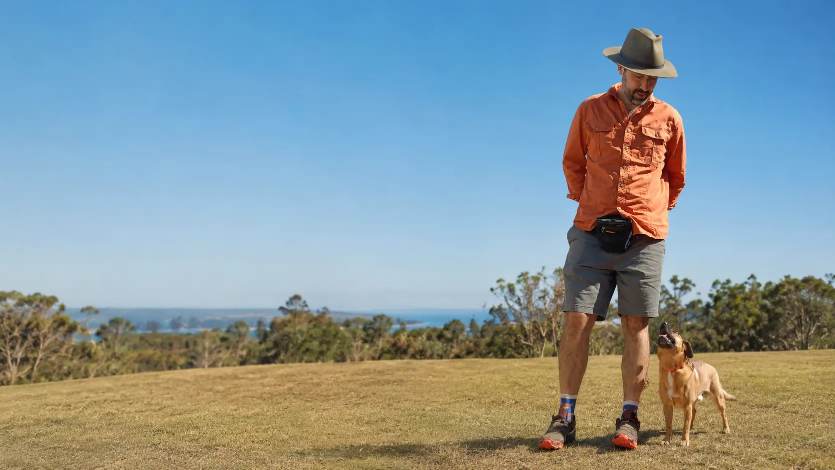 A handler and dog walking together on a loose lead
