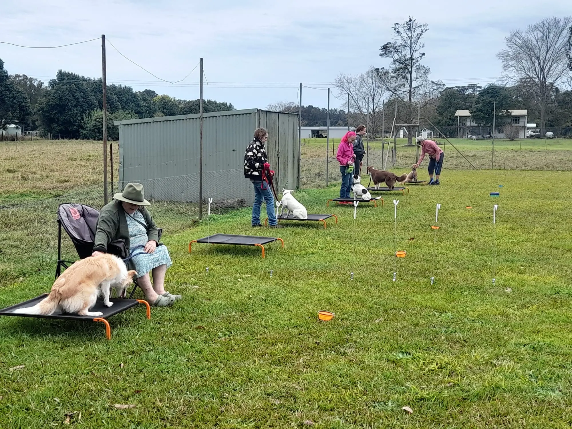 Dogs and handlers spaced apart beside raised platforms during an outdoor group class.